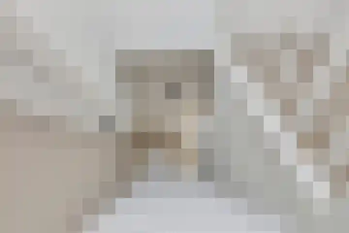 Goorsestraat 33 Haaksbergen thumbnail 30