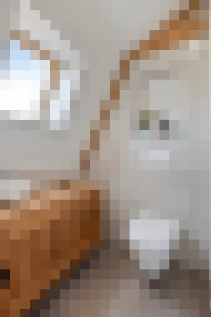 Goorsestraat 33 Haaksbergen thumbnail 32