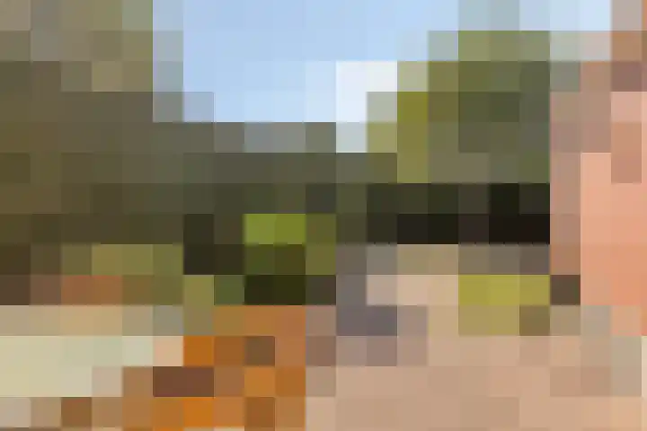 Goorsestraat 33 Haaksbergen thumbnail 43