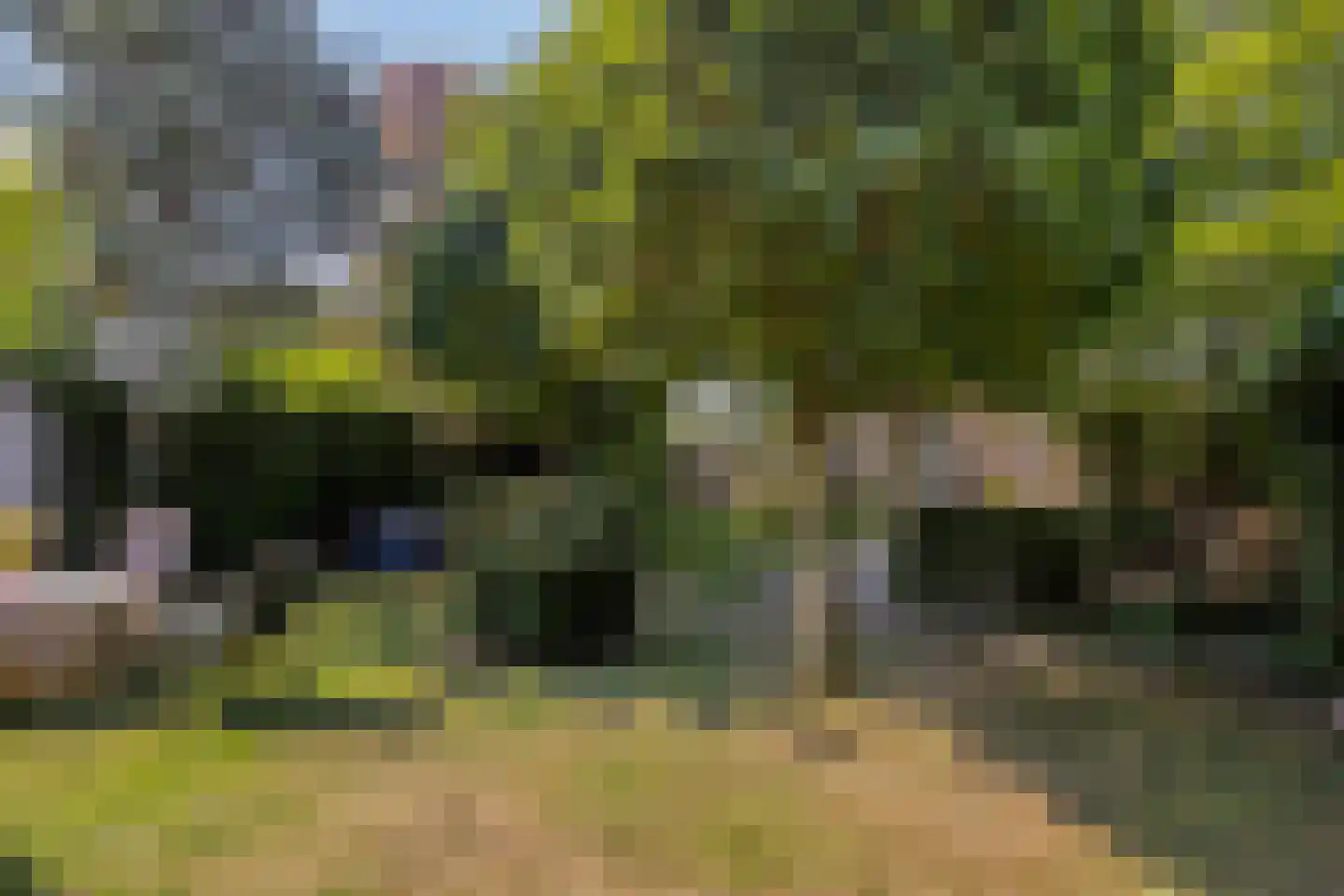 Goorsestraat 39 Haaksbergen thumbnail 45