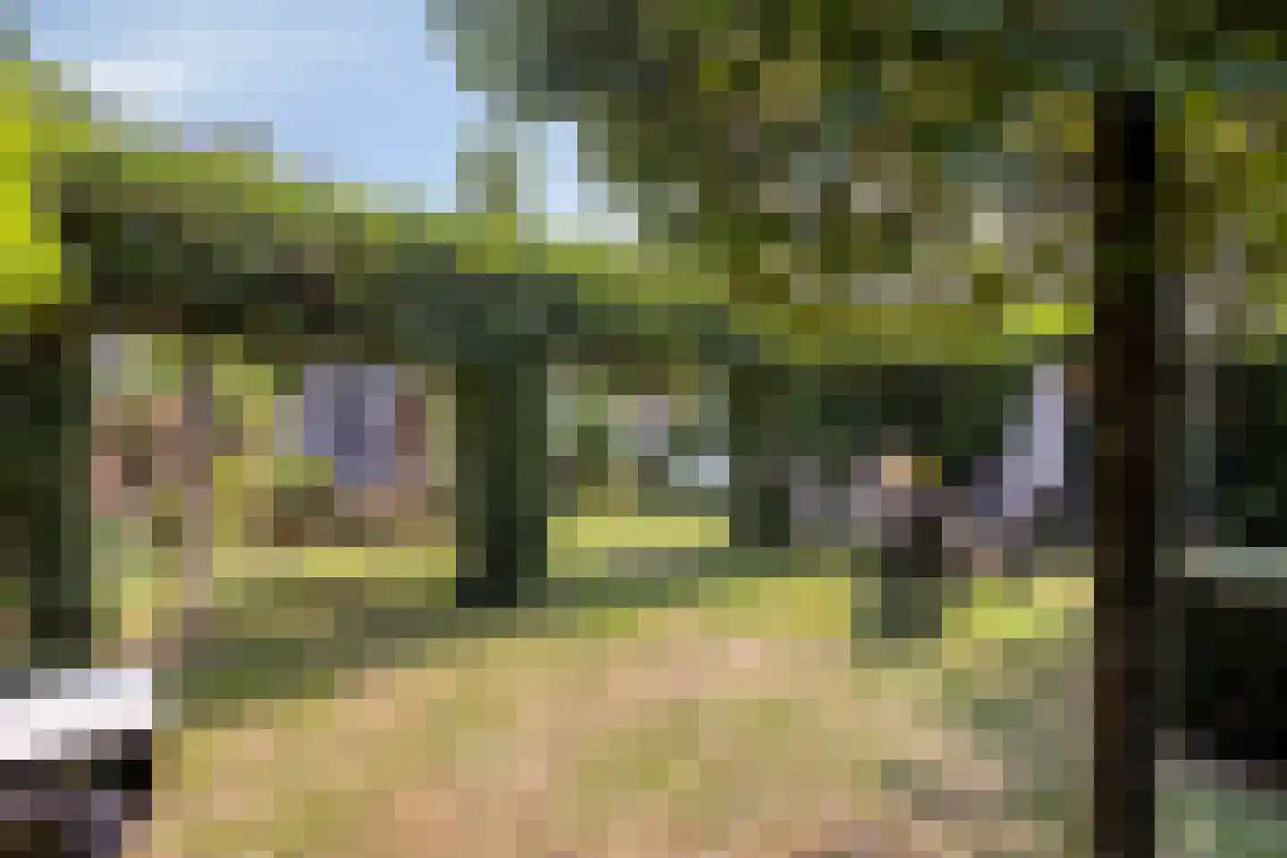Goorsestraat 39 Haaksbergen thumbnail 47