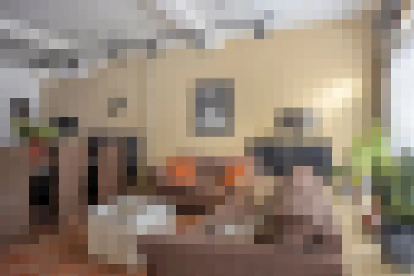 Goorsestraat 39 Haaksbergen thumbnail 6