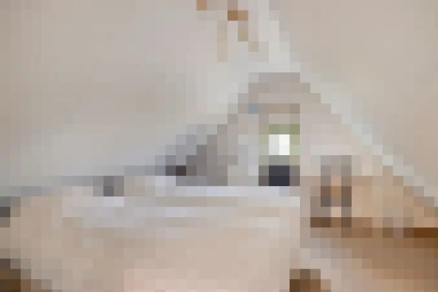 Goorsestraat 39 Haaksbergen thumbnail 65