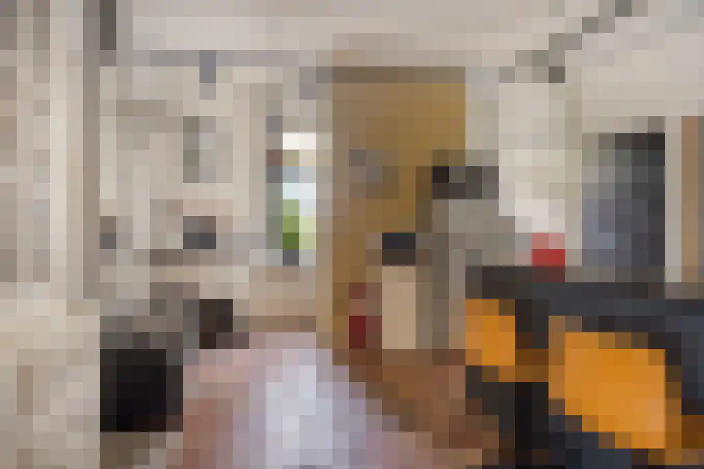 Goorsestraat 39 Haaksbergen thumbnail 9