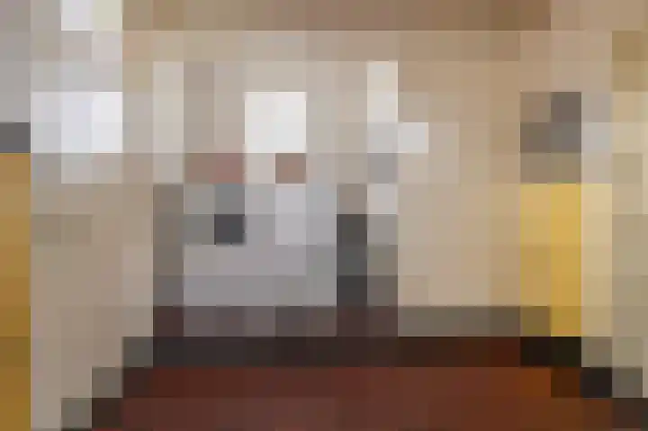 Goorseweg 15 Markelo thumbnail 21