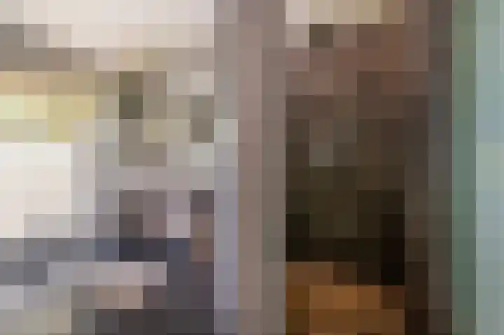 Goorseweg 15 Markelo thumbnail 29