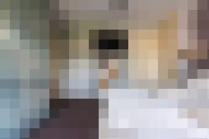 Goorseweg 15 Markelo thumbnail 32