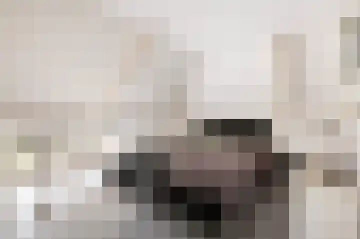 Goorseweg 15 Markelo thumbnail 34