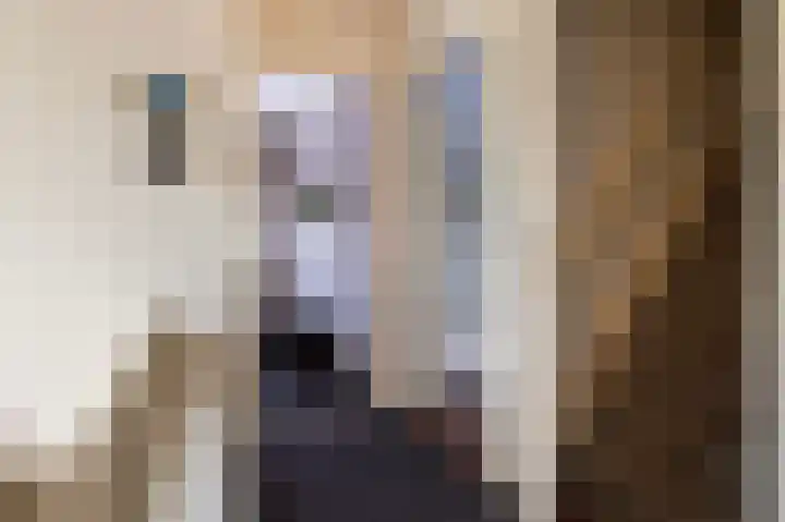 Goorseweg 15 Markelo thumbnail 37