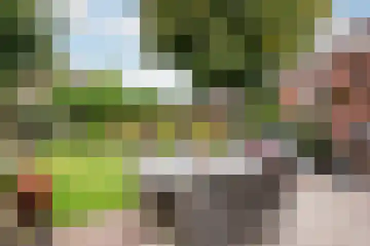 Goorseweg 15 Markelo thumbnail 39