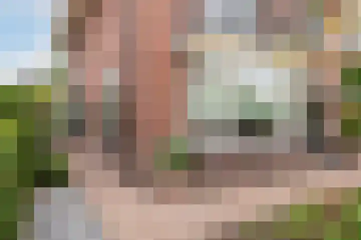 Goorseweg 15 Markelo thumbnail 4