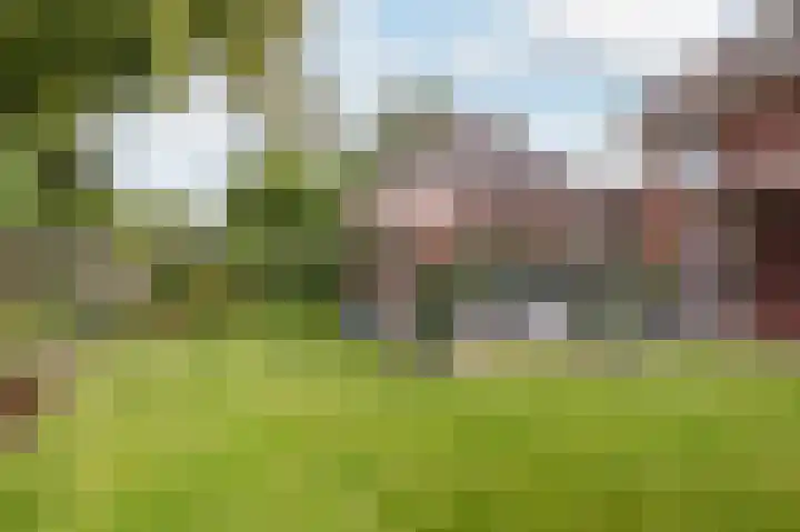 Goorseweg 15 Markelo thumbnail 41