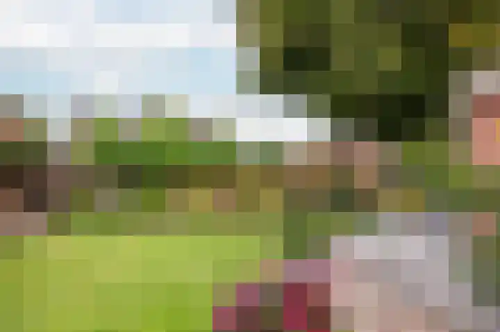 Goorseweg 15 Markelo thumbnail 43