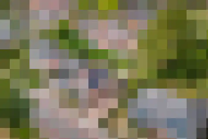 Goorseweg 15 Markelo thumbnail 46