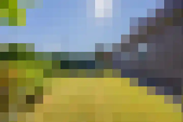 Goorseweg 15 Ottersum thumbnail 54