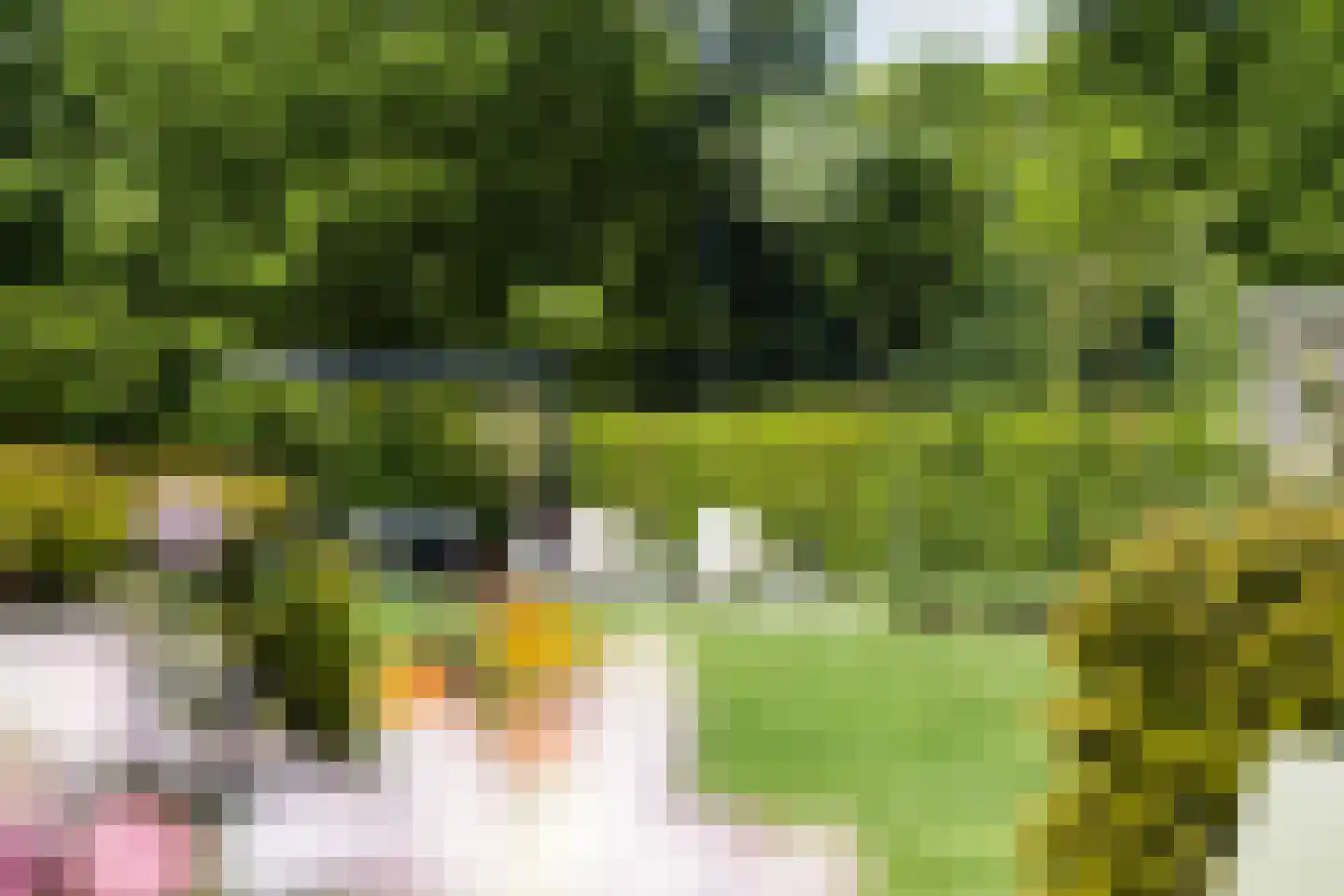 Goorseweg 19 Lochem thumbnail 48