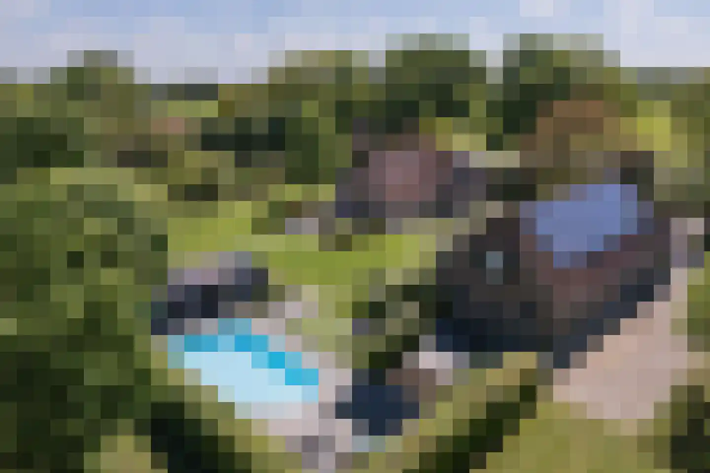 Goorseweg 19 Lochem thumbnail 56