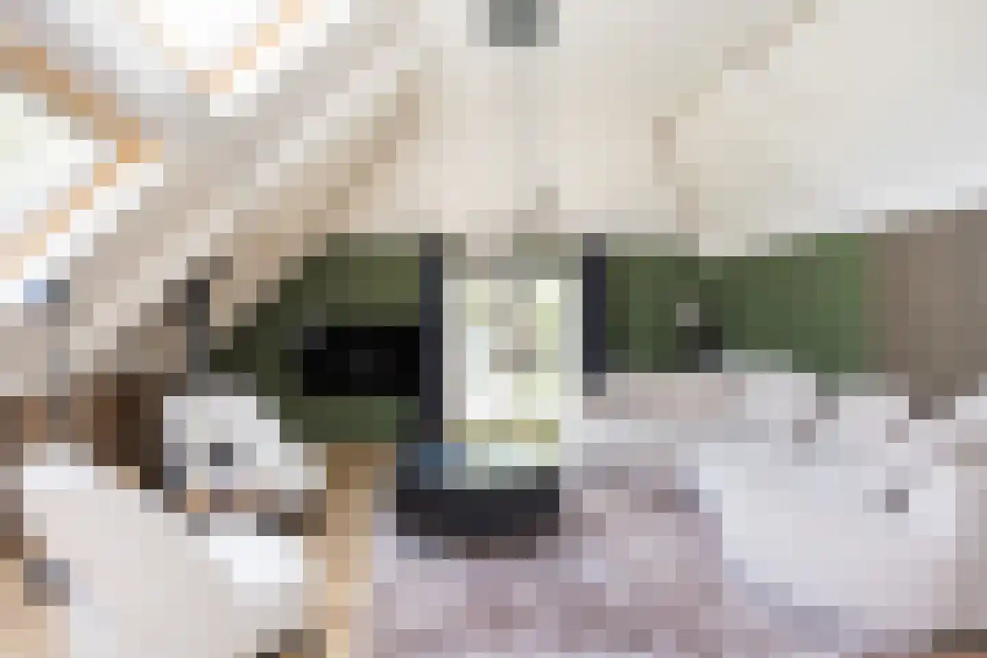 Goorseweg 19 Lochem thumbnail 68