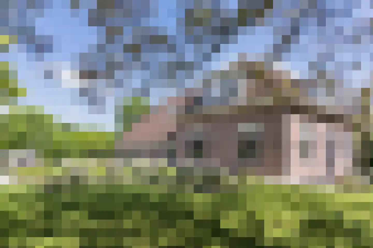 Goorseweg 19 Lochem thumbnail 7