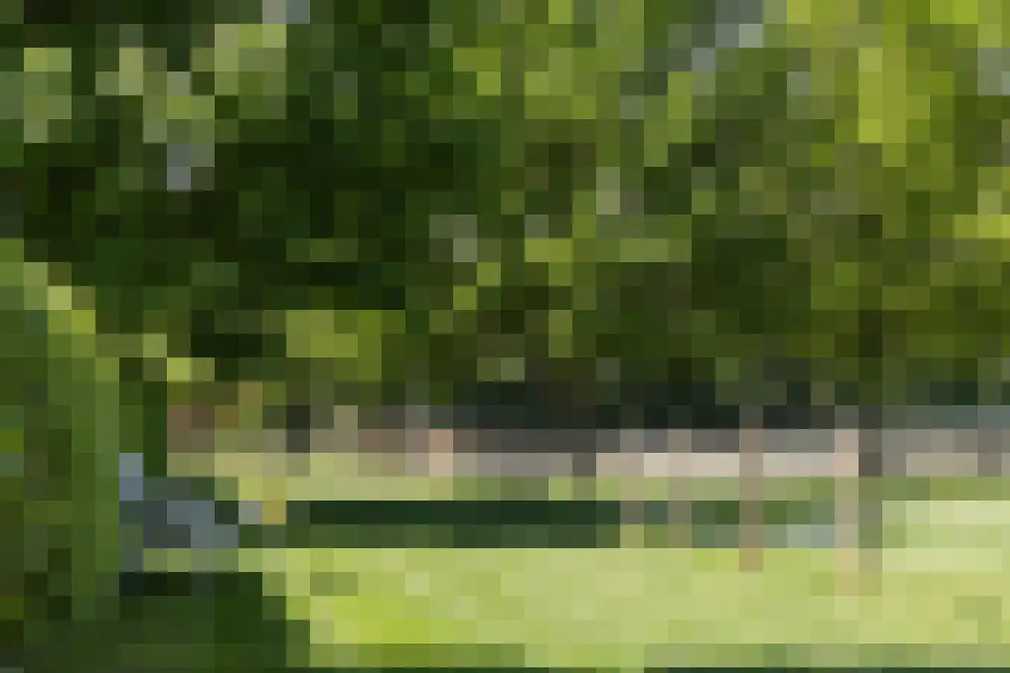 Goorseweg 19 Lochem thumbnail 84