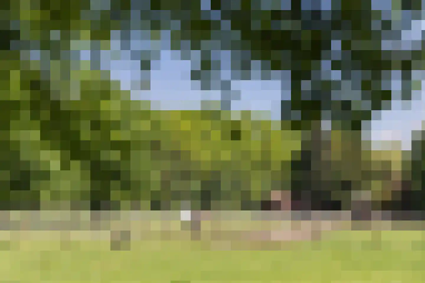 Goorseweg 19 Lochem thumbnail 85