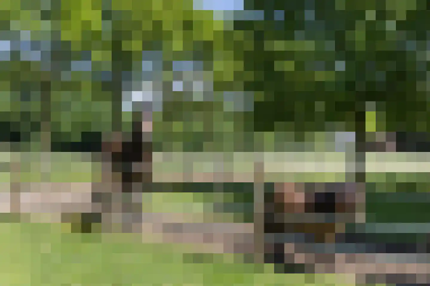 Goorseweg 19 Lochem thumbnail 86