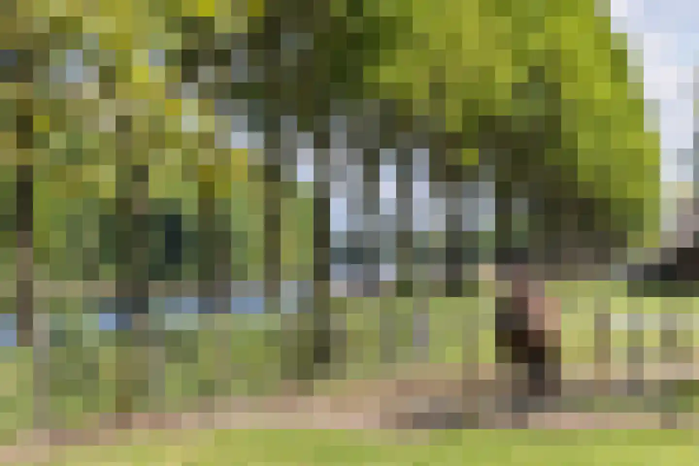 Goorseweg 19 Lochem thumbnail 87
