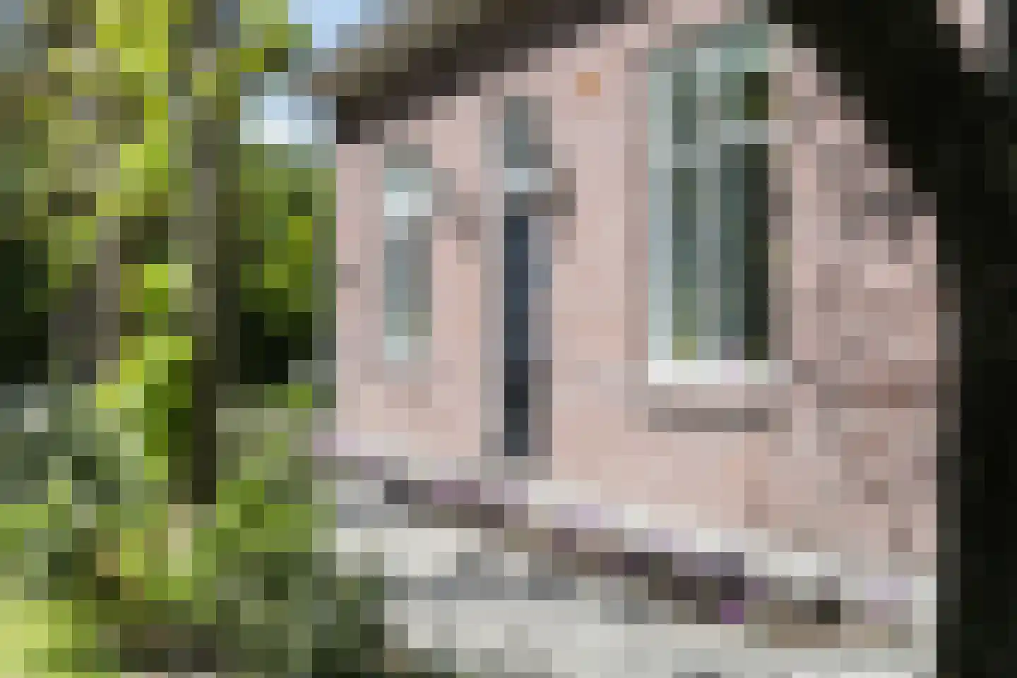 Goorseweg 19 Lochem thumbnail 9