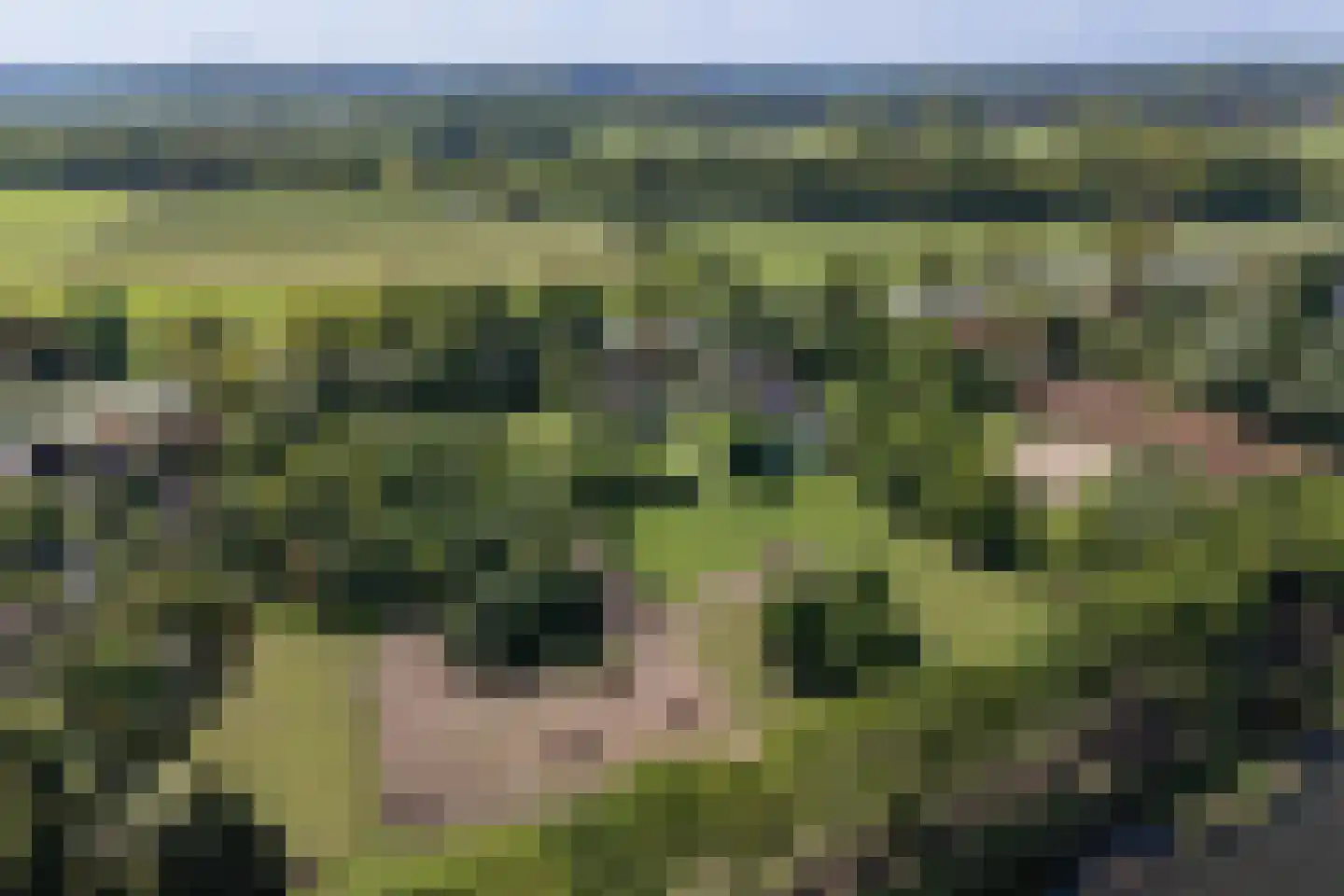 Goorseweg 19 Lochem thumbnail 91