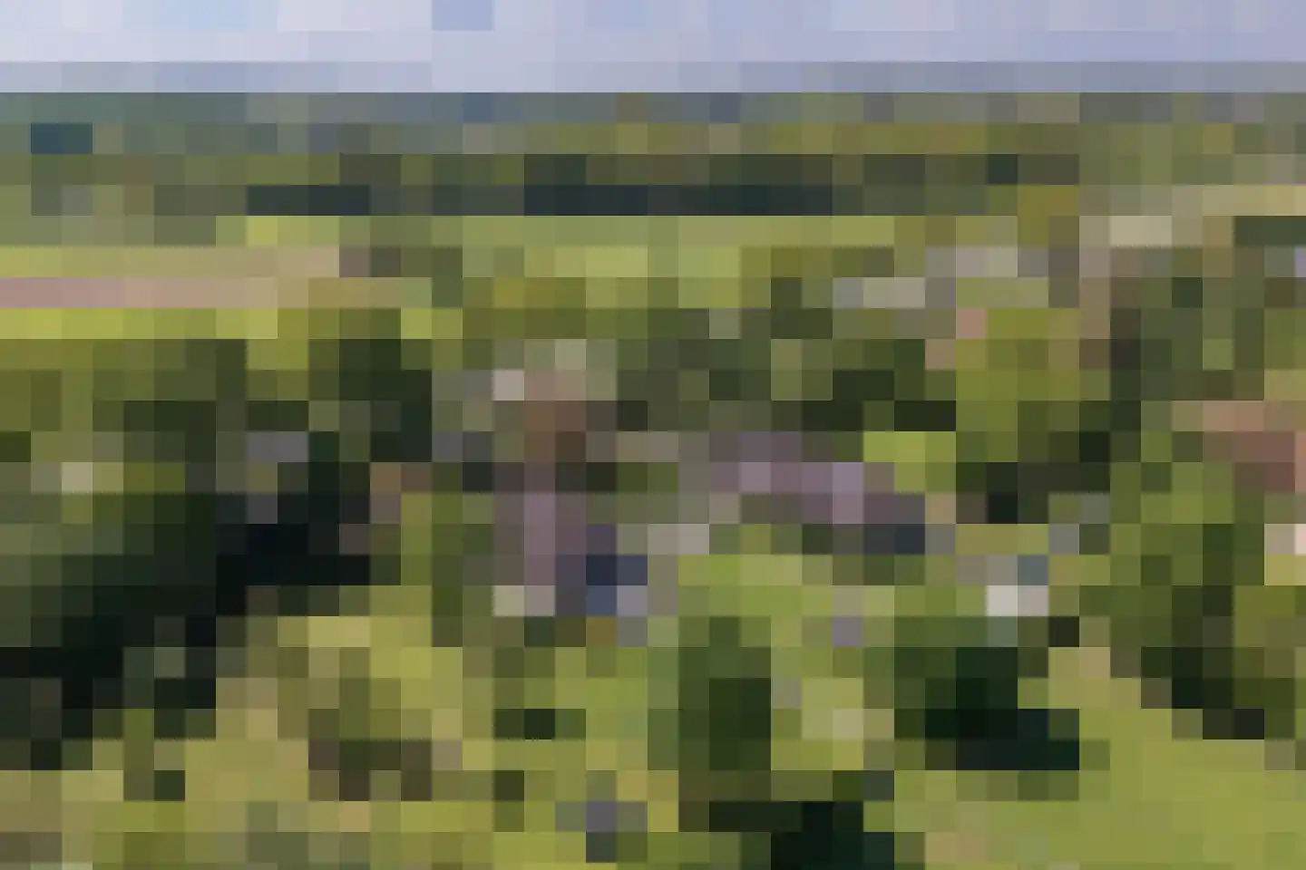 Goorseweg 19 Lochem thumbnail 92