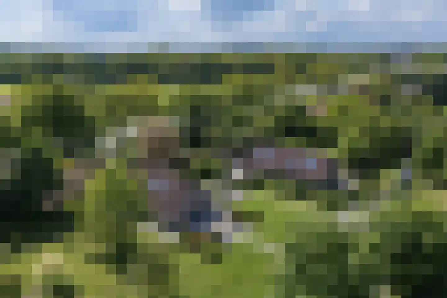 Goorseweg 19 Lochem thumbnail 93