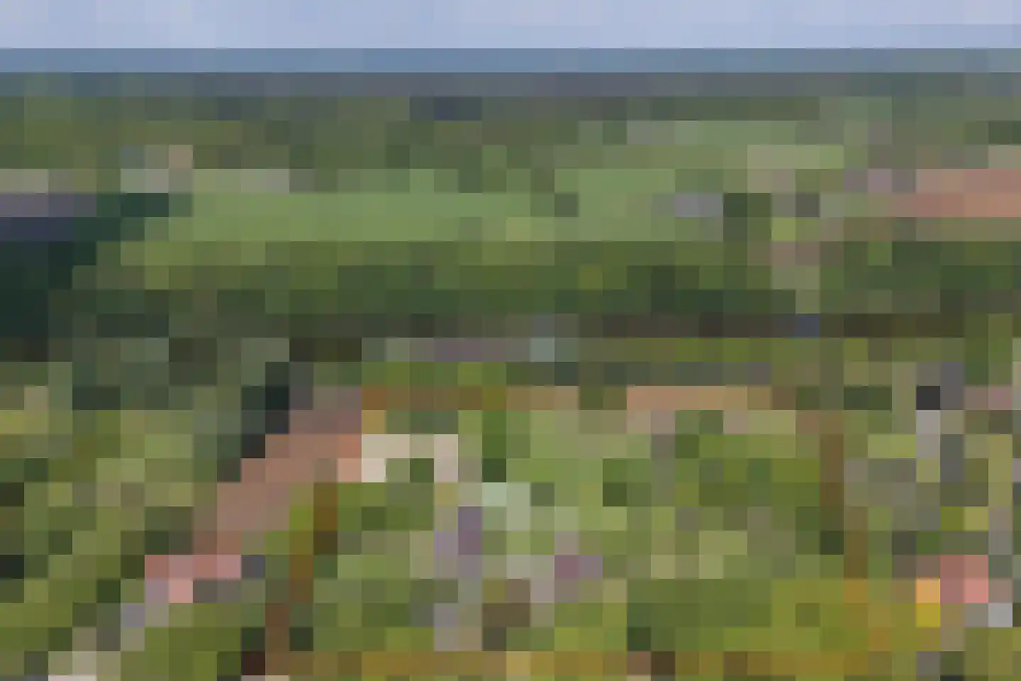 Goorseweg 19 Lochem thumbnail 95