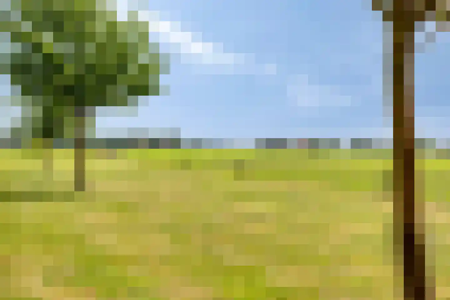 Goorseweg 30 Lochem thumbnail 11