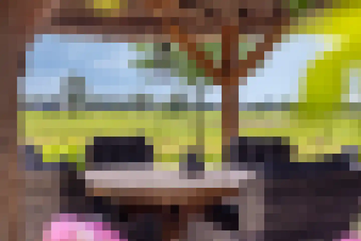 Goorseweg 30 Lochem thumbnail 15