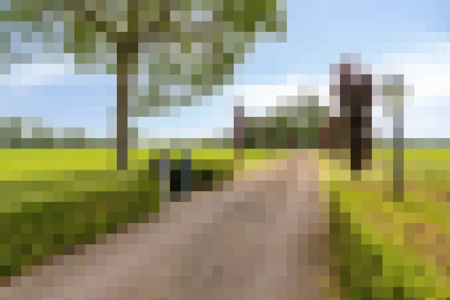 Goorseweg 30 Lochem thumbnail 19