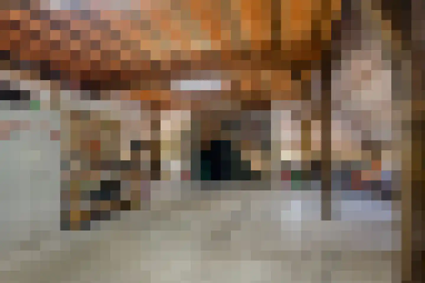 Goorseweg 30 Lochem thumbnail 49