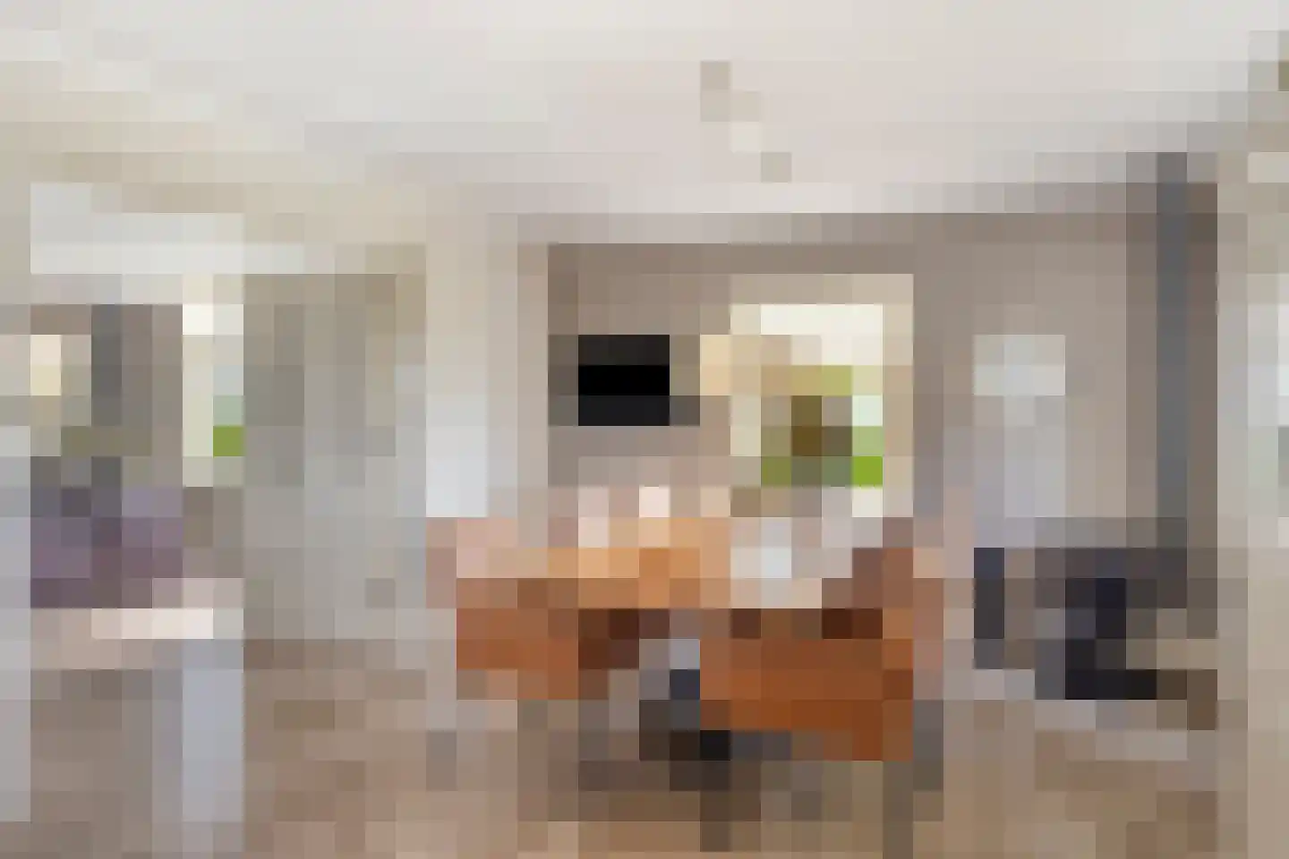 Goorseweg 30 Lochem thumbnail 5