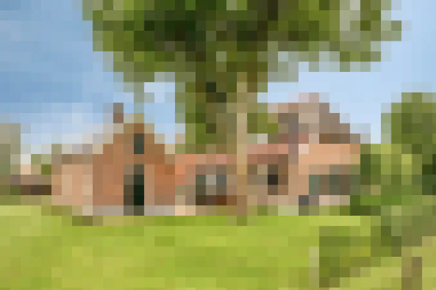 Goorseweg 30 Lochem thumbnail 51
