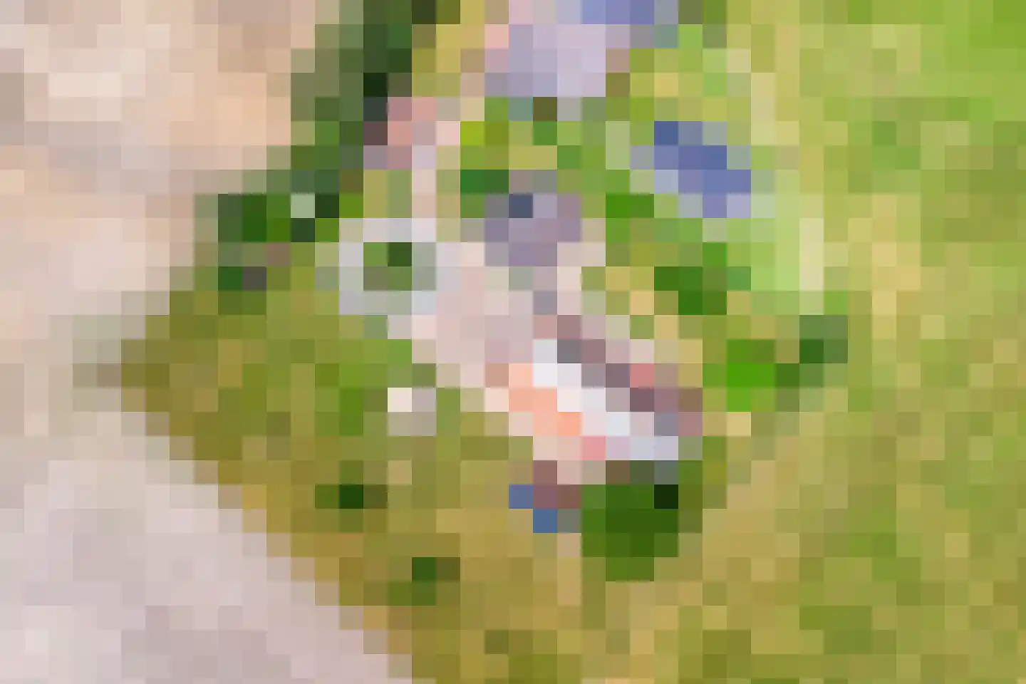 Goorseweg 30 Lochem thumbnail 66