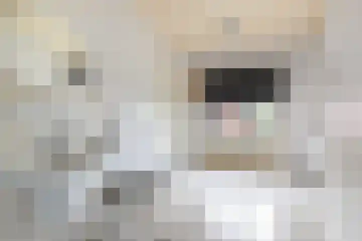 Goorseweg 32 Markelo thumbnail 25