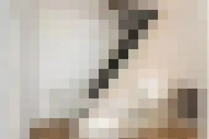 Goorseweg 32 Markelo thumbnail 27