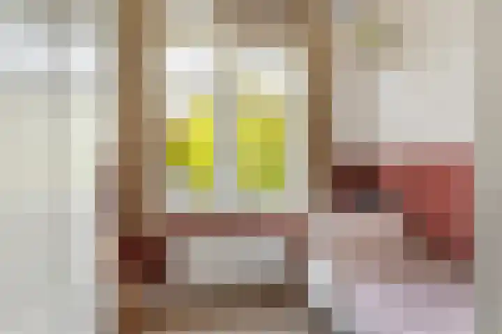 Goorseweg 32 Markelo thumbnail 28