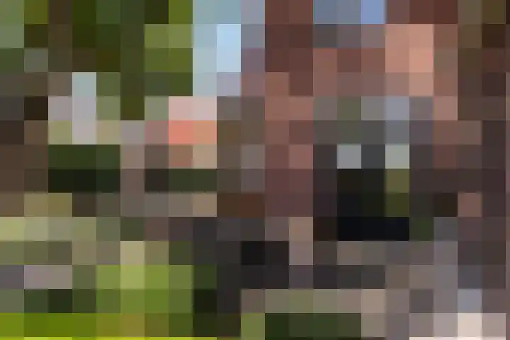 Goorseweg 32 Markelo thumbnail 32