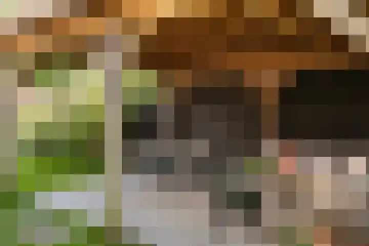 Goorseweg 32 Markelo thumbnail 33