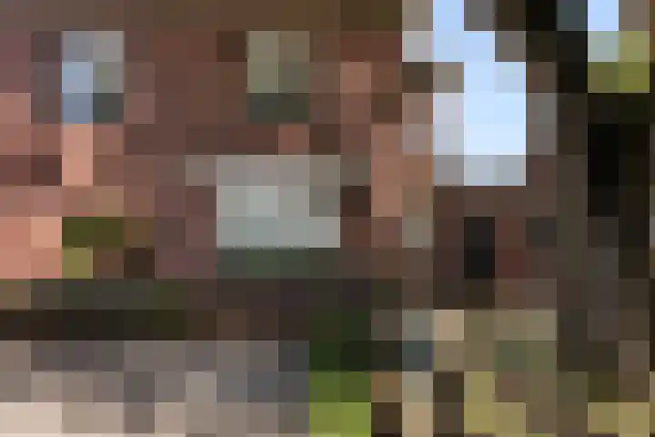 Goorseweg 32 Markelo thumbnail 34