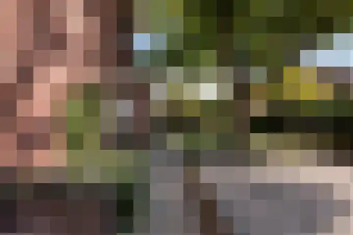 Goorseweg 32 Markelo thumbnail 35