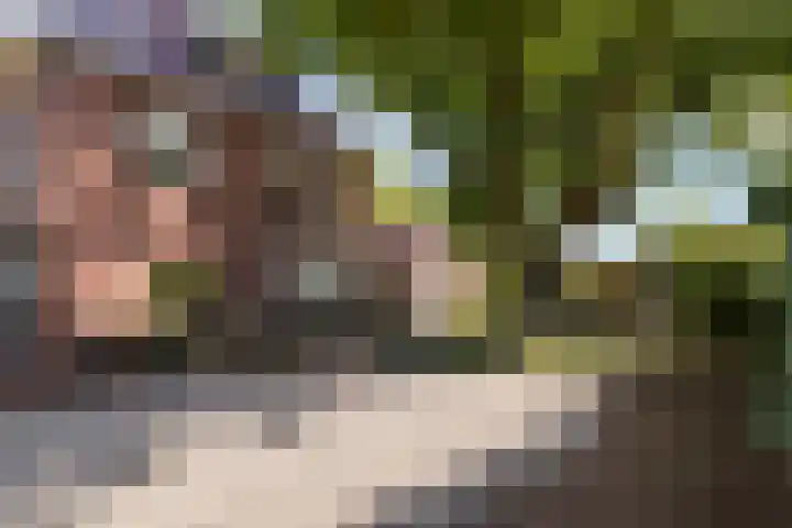 Goorseweg 32 Markelo thumbnail 36