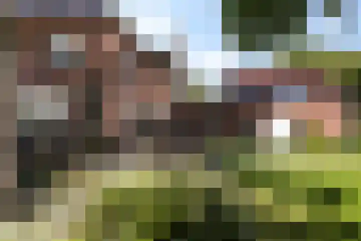 Goorseweg 32 Markelo thumbnail 37