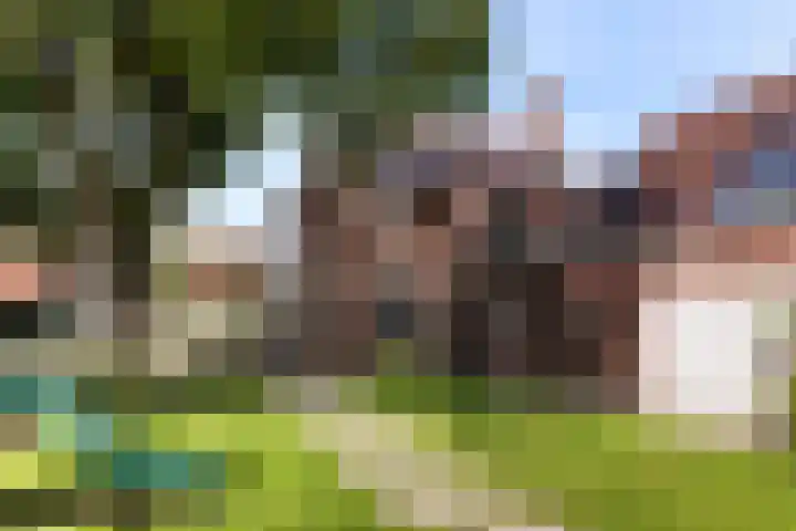 Goorseweg 32 Markelo thumbnail 38