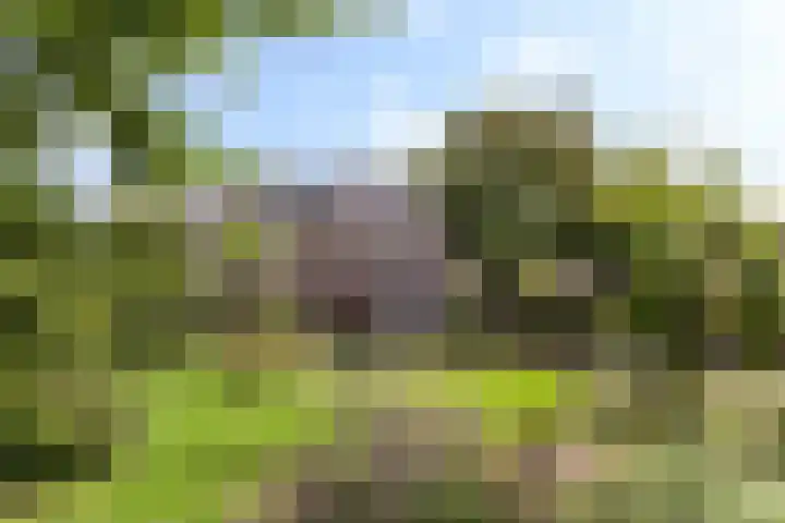Goorseweg 32 Markelo thumbnail 39